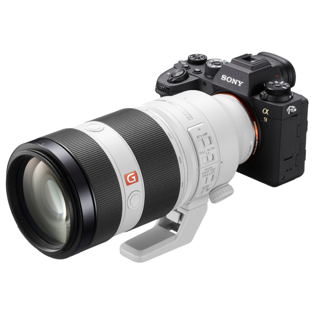 Sony Alpha 9 II + 100-400mm GM OSS